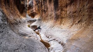 Into the Canyon's poster