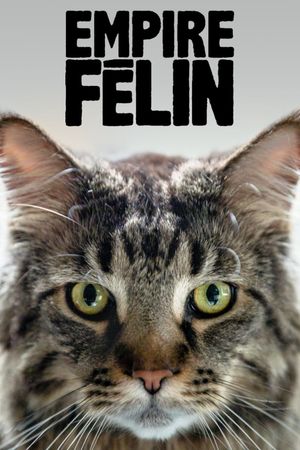 Cat Empire's poster