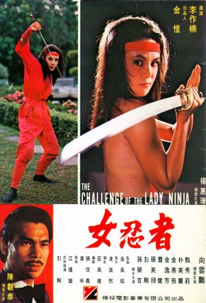 The Challenge of the Lady Ninja's poster