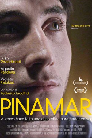 Pinamar's poster