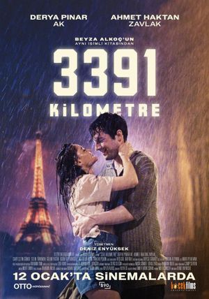 3391 Kilometres's poster