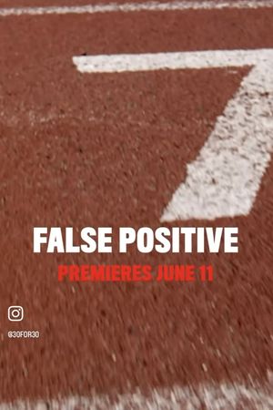 False Positive's poster
