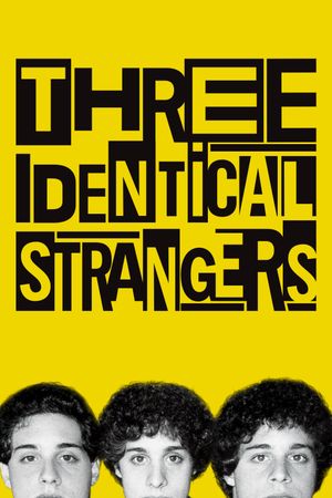 Three Identical Strangers's poster image