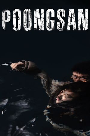 Poongsan's poster image