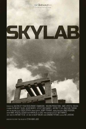 Skylab's poster