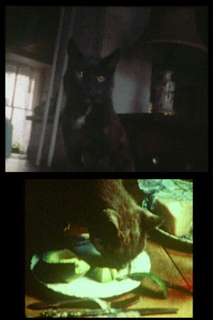 Kitch's Last Meal's poster