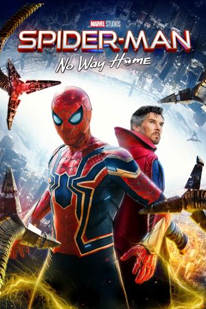 Spider-Man: No Way Home's poster