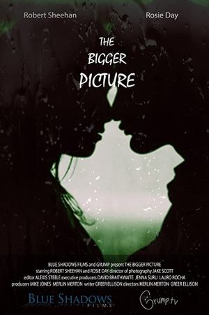 The Bigger Picture's poster
