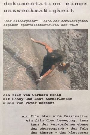 Dokumentation einer Unzweckmäßigkeit's poster image