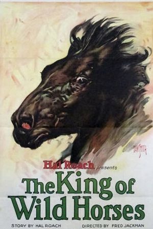 The King of Wild Horses's poster