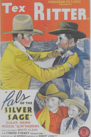 Pals of the Silver Sage's poster