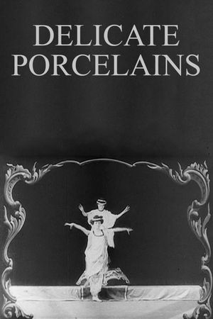 Delicate Porcelains's poster