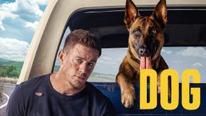 Dog's poster