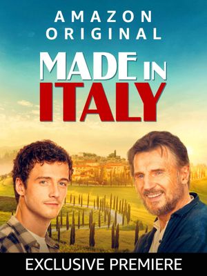 Made in Italy's poster