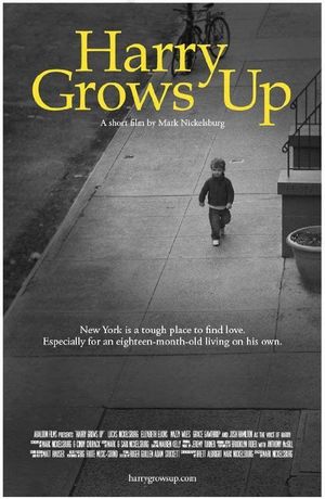 Harry Grows Up's poster