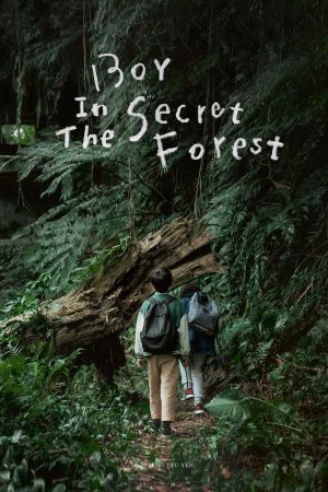 Boy in the Secret Forest's poster