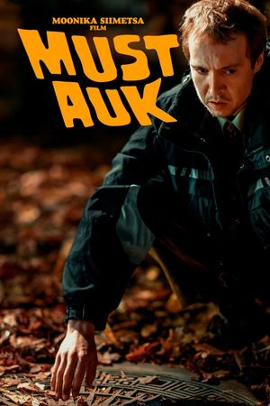 The Black Hole's poster