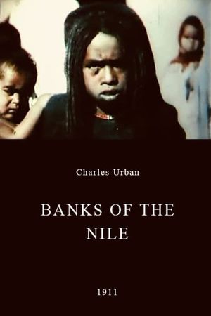 Banks of the Nile's poster