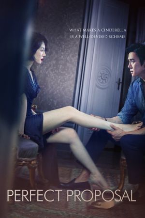 Perfect Proposal's poster