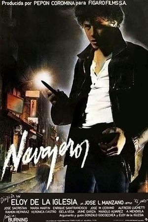 Navajeros's poster