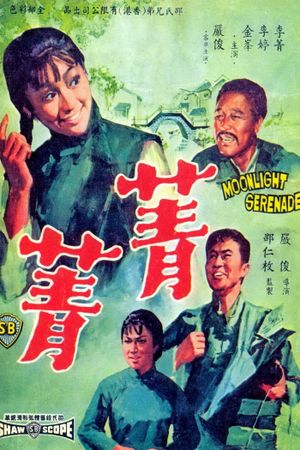 Jing jing's poster