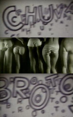 Chuva de Brotos's poster