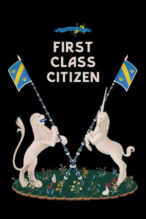 First Class Citizen's poster