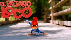 Woody Woodpecker's poster