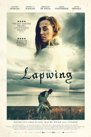 Lapwing's poster