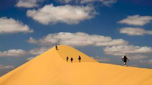 Desert Runners's poster