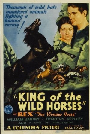 King of the Wild Horses's poster image
