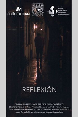 Reflection's poster