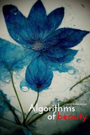 Algorithms of Beauty's poster