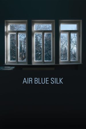 Air Blue Silk's poster
