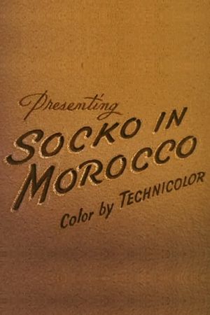 Socko in Morocco's poster