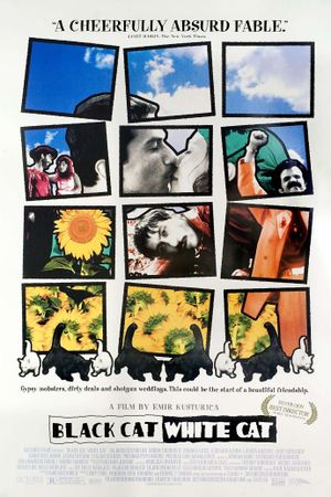 Black Cat, White Cat's poster