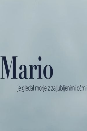 Mario Was Watching the Sea With Love's poster