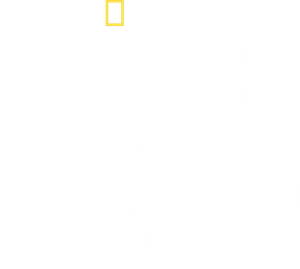 Shark vs. Surfer's poster