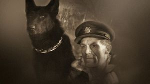 Král Sumavy's poster