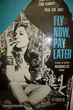 Fly Now, Pay Later's poster