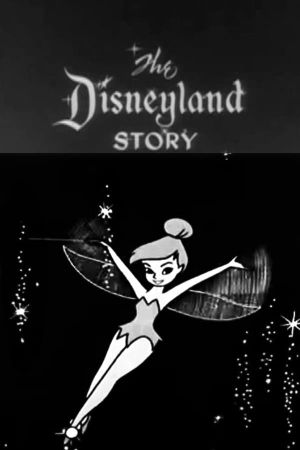 The Disneyland Story's poster