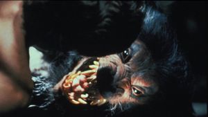Howling V: The Rebirth's poster