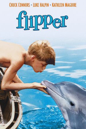 Flipper's poster