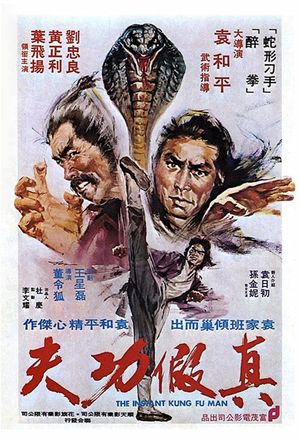 The Instant Kung Fu Man's poster