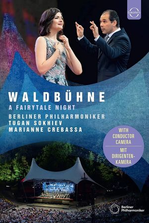 Waldbühne 2019: A Fairytale Night's poster