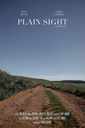 Plain Sight's poster