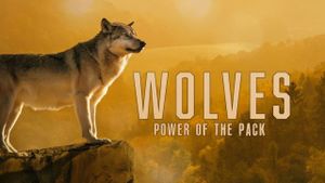 Wolves: Power of the Pack's poster