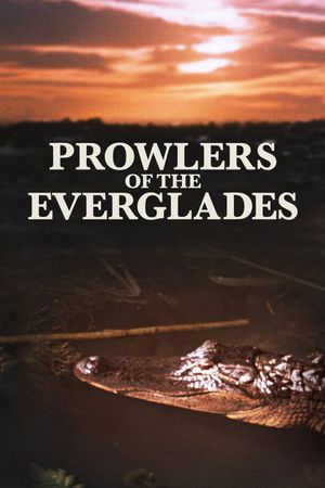Prowlers of the Everglades's poster