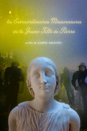The Marvelous Misadventures of the Stone Lady's poster