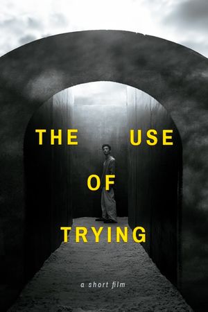 The Use of Trying's poster